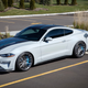 All image credits: Ford